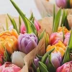 Edward Gray Profile Picture