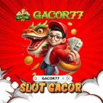 Gacor77 ink Profile Picture