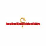 Rongbachkimchinhxac100 org profile picture