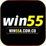 Nhà cái win55 Profile Picture