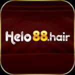 helo88 hair Profile Picture