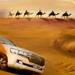 sunrise dubaisafari Profile Picture