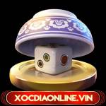 Xóc Đĩa Online CEO Huỳnh Nam Profile Picture