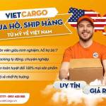 VietCargo Logictis profile picture