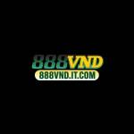 888VND Itcom Profile Picture