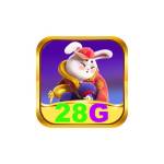 28g br com Profile Picture
