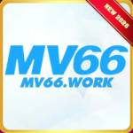 mv66 work Profile Picture