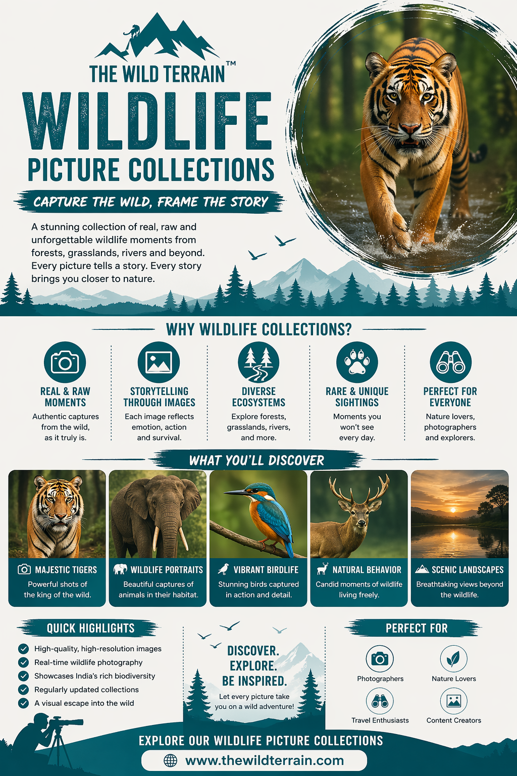 The Wild Terrain - Wildlife Photography Collections –...