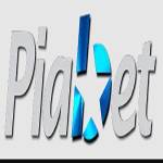 piabet giris Profile Picture