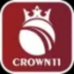Crown11 Plus Profile Picture