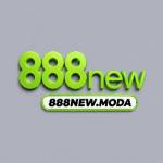 888new moda Profile Picture