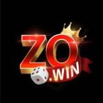 ZOWIN org Profile Picture