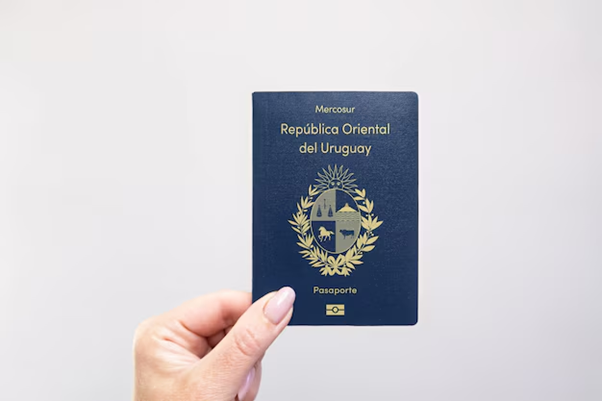 Unlocking Opportunities: The Process of Acquiring Uruguay Citizenship by Investment