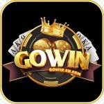 gowin Profile Picture