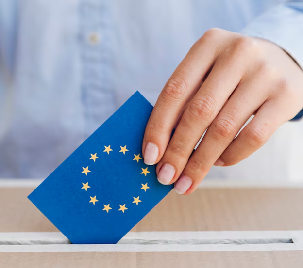 Dual Citizenship in Finland: What Are Your Rights?