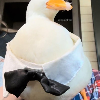 Goal Profile Picture
